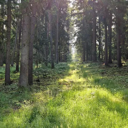 بيت للعطل Cozy In Stara Dobrzyca With Wifi