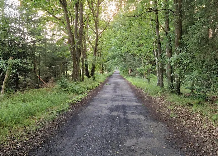 Cozy In With Wifi Casa de Férias