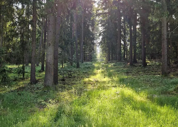 Casa de Férias Cozy In With Wifi